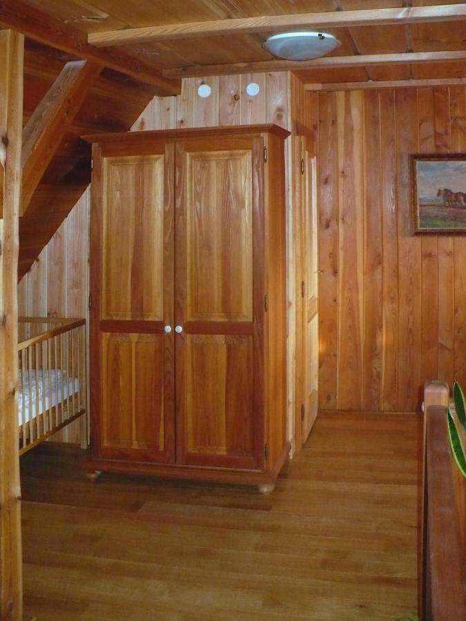 Apartman Ve Skanzenu Třebechovice pod Orebem Buitenkant foto